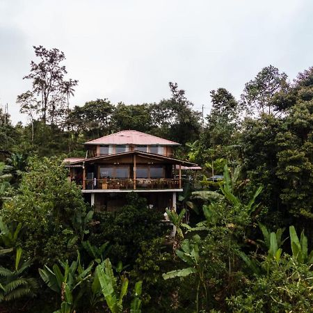 Casa De Vista Alta Otel Mindo Dış mekan fotoğraf