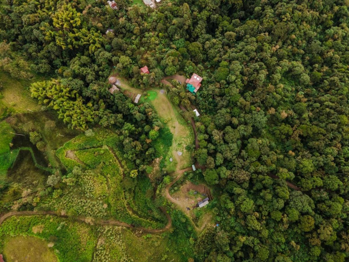 Casa De Vista Alta Otel Mindo Dış mekan fotoğraf