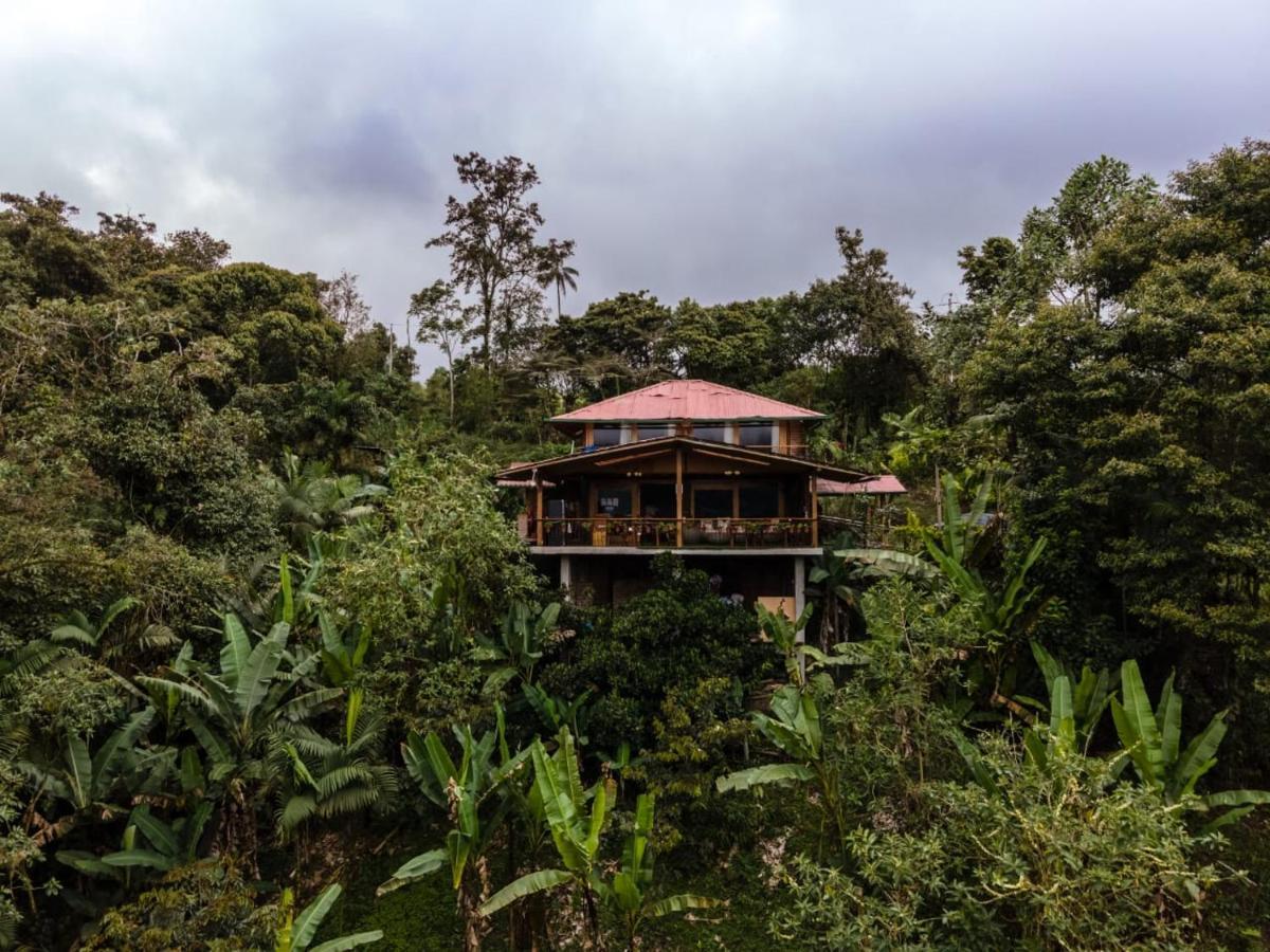 Casa De Vista Alta Otel Mindo Dış mekan fotoğraf