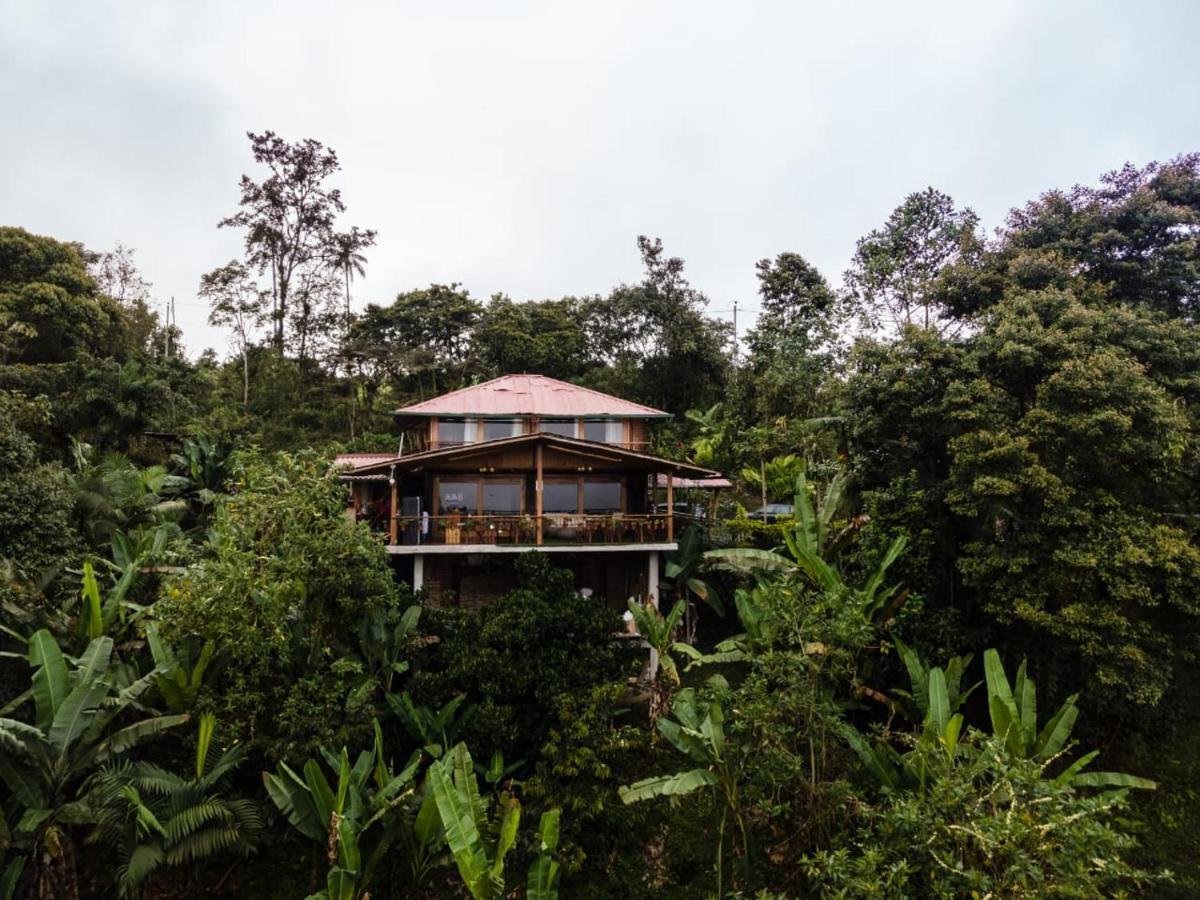 Casa De Vista Alta Otel Mindo Dış mekan fotoğraf