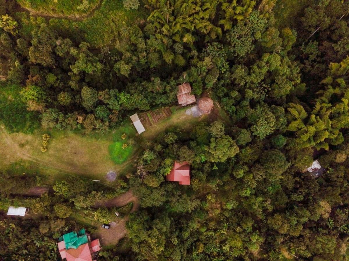 Casa De Vista Alta Otel Mindo Dış mekan fotoğraf