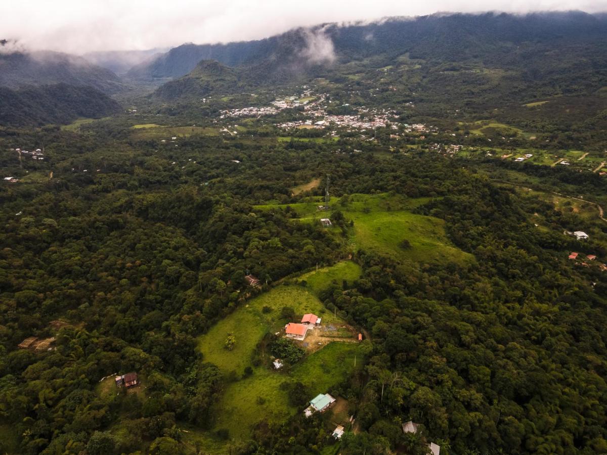 Casa De Vista Alta Otel Mindo Dış mekan fotoğraf