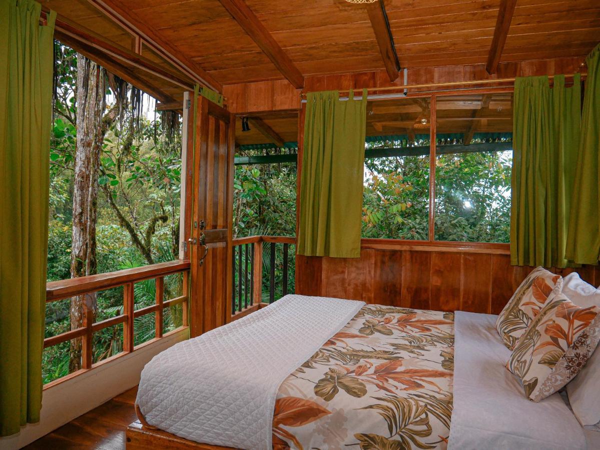 Casa De Vista Alta Otel Mindo Dış mekan fotoğraf